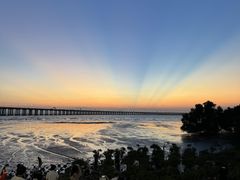 -宝安西湾红树林湿地公园