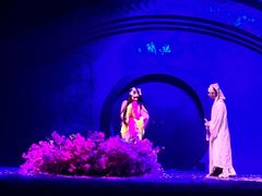 -厦门方特梦幻王国