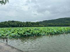 -麦当劳(平度扬州路店)