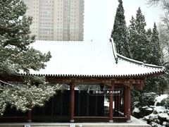 -碑林公园