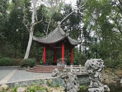 -深圳国际园林花卉博览园