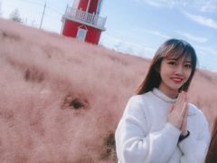 -羊亭河湿地公园