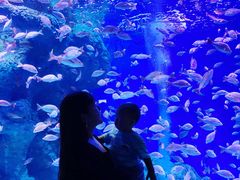 -成都浩海立方海洋公园