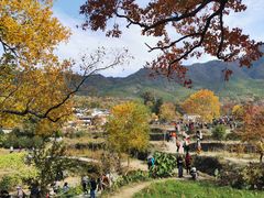 -塔川景区