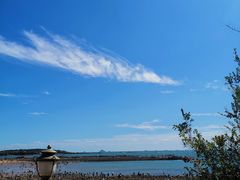 -青岛第一海水浴场