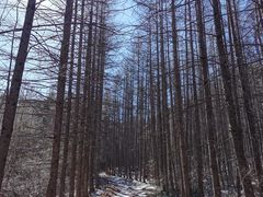 -秦岭风景区