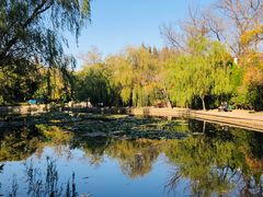 -八大关景区