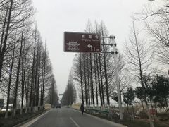 -上海青龙寺