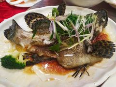 -北海渔村酒楼·粤菜海鲜点心(新华店)