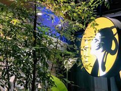 -茶理宜世(东方宝泰店)