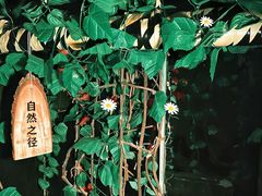 -明日世界密室轰趴·剧本桌游·箭馆团建(国贸店)