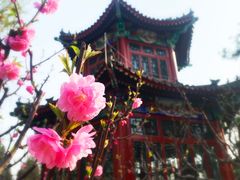 -宣武艺园
