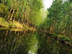 -合肥滨湖国家森林公园