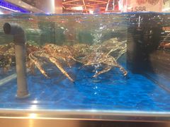 -盒马X会员店(王府井奥莱UP TOWN店)