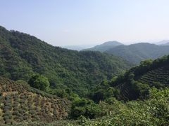 iphone_upload_pic-西湖风景区十里琅珰-五云山