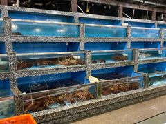 水产区-华威西营里农产品批发市场