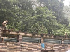 -黔灵山公园