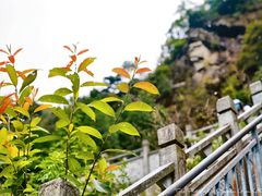-苍山感通索道