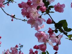 -上海滨江森林公园