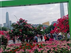 -莲花山公园