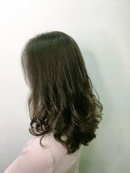 -藤野造型