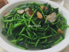西洋菜-粥旺庄(芳村店)