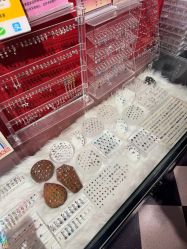 -海王刺青·纹身·穿孔饰品·TATTOO