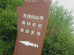 -东白山
