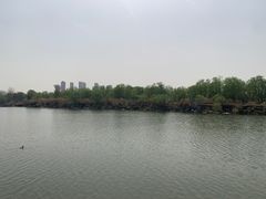 -西安浐灞国家湿地公园