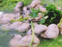 萝卜丝牡蛎汤-韩记海鲜饺子旗舰店(红海新区店)