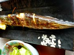 秋刀鱼-襄阳富力皇冠假日酒店-大吉融合餐厅