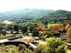 -凤凰山国家森林公园