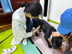 -美联众合动物医院·24h转诊中心