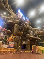 -卡通尼·Safari非洲探索乐园·生日会(金桥国际商业广场店)