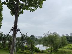 -洋湖国家湿地公园
