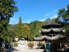 -木兰云雾山