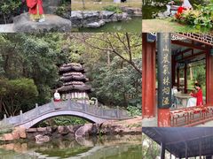 -深圳国际园林花卉博览园