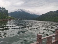 -后柳水乡
