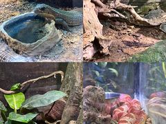 -正佳雨林生态植物园