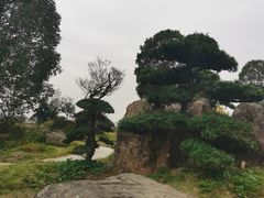 -秀丽东方