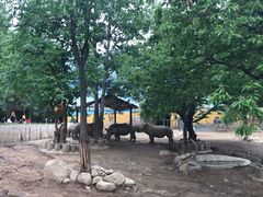 -西安秦岭野生动物园