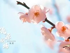 -九江市博物馆