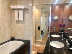 -新加坡文华东方酒店