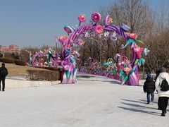 -沈阳奥体冰雪嘉年华