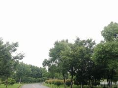 -贡湖湾湿地公园