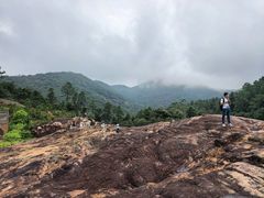 -广州白江湖森林公园