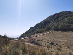 -白草畔自然风景区