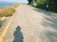 -杨梅坑