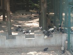 -南京金牛湖风景区