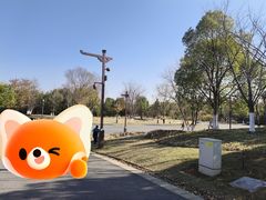 -盘龙城国家考古遗址公园